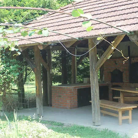 Vakantiehuis The River House *